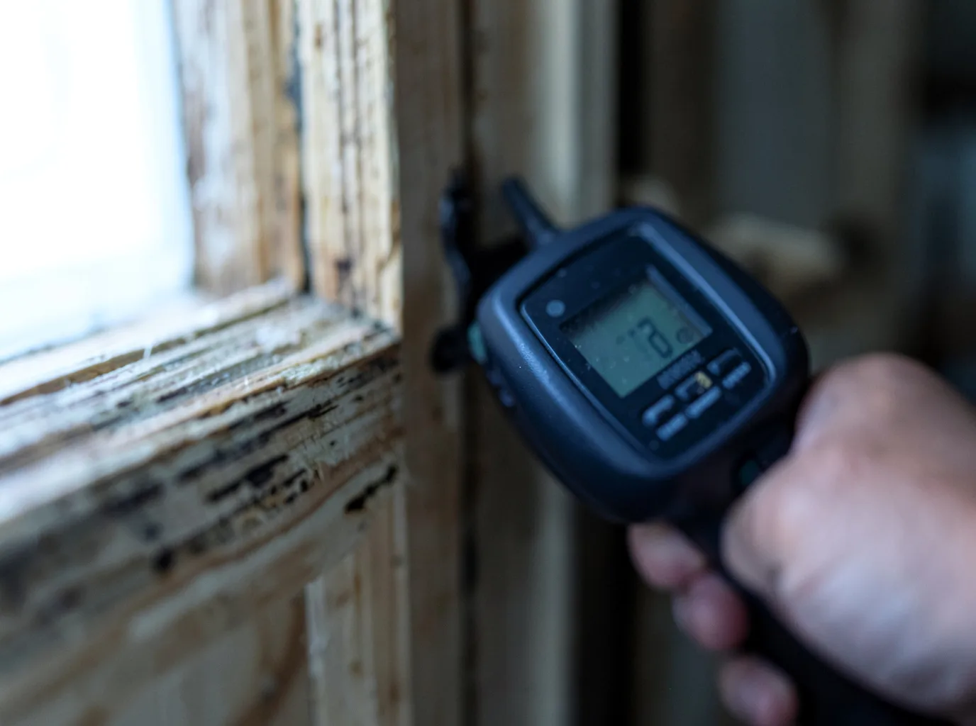 Moisture Inspection And Documentation in Cimarron, NM